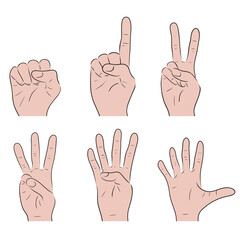 Vector set of counting on fingers. From 1 to 5. Collection of silhouette hand gestures. Body parts for icon and your design. Counting for children