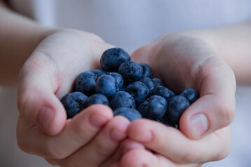 Fresh raw organic blueberries background close up. Macro texture of blueberry berries. Food background, backdrop, wallpaper, summer harvest.