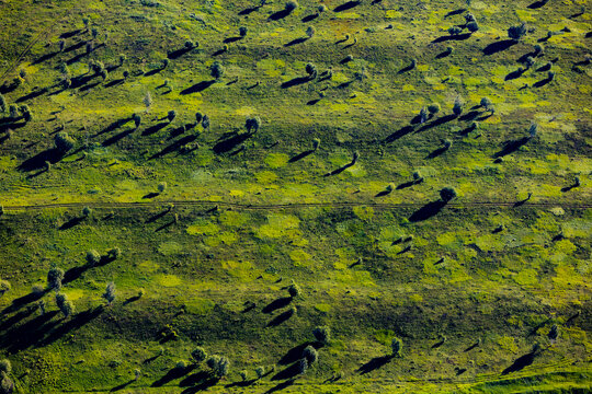 Aerial view of tranquil green fields with shadows and a beautiful landscape, Tula Oblast, Russia.