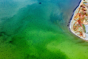 Aerial view of tranquil Lake Manych Gudilois with serene shoreline and vibrant colors, Kalmykia Republic, Russia.