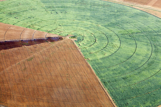 Aerial view of beautiful agricultural fields with contrasting green and brown patterns, Volgograd Oblast, Russia.