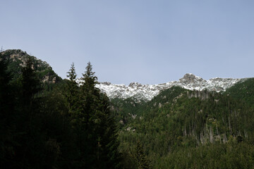 Snowy mountains, green forests In National park Zakopane Poland. Mountain nature landscape. Blue sky. Travel outdoors green tourism concept Naturecore