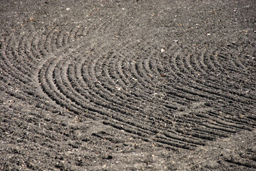 sown field close-up. selective focus