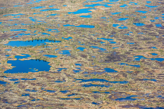 Aerial view of beautiful wetlands and Lake Onega with abstract patterns and textures, Karelia Republic, Russia.