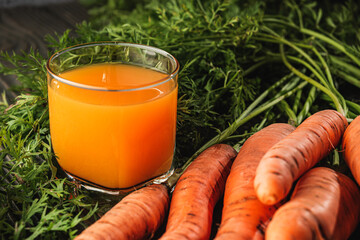Fresh Orange Carrots from the Garden, Juicy, Organic, and Ripe for a Healthy Vegan Diet