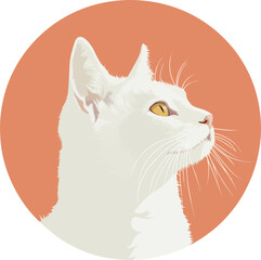 A white cat looking at something