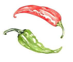Green and red chili peppers watercolor illustration. Illustration for greeting cards, printing and other design projects.