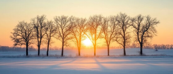 Fototapeta premium Capture a breathtaking real photograph of the winter equinox, showcasing a peaceful snow-covered landscape with bare trees silhouetted against a crisp, pale sky, as the low sun casts a soft