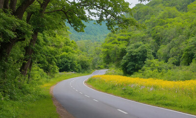 Fototapeta premium 시골길 도로 옆 나무와 꽃 예쁜 시골길