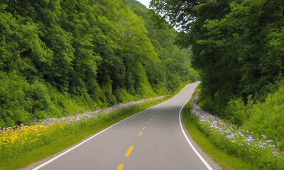 Fototapeta premium 시골길 도로 옆 나무와 꽃 예쁜 시골길