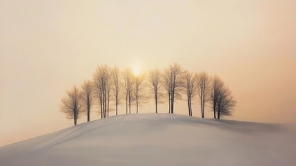 Capture a breathtaking real photograph of the winter equinox, showcasing a peaceful snow-covered landscape with bare trees silhouetted against a crisp, pale sky, as the low sun casts a soft