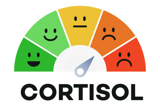 Cortisol scale level meter dashboard with arrow for understanding stress, mental or emotional pressure scores, measurement tool for overworking diagnosis vector