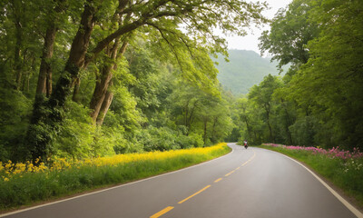 Fototapeta premium 시골길 옆으로 나무와 꽃이 예쁘게 피어있다.