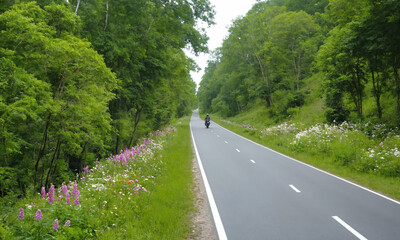 시골길 도로옆 나무와 꽃이 만발해있다 예쁘다