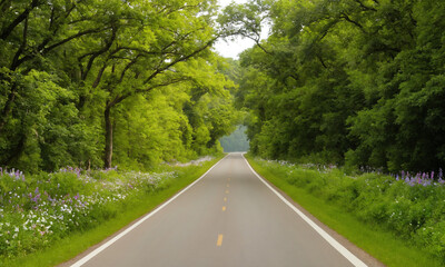 Fototapeta premium 시골길 도로옆에 꽃과 나무가 예쁘다 쾌적한도로
