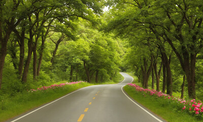 Fototapeta premium 시골길 도로옆에 꽃과 나무가 예쁘다 쾌적한도로