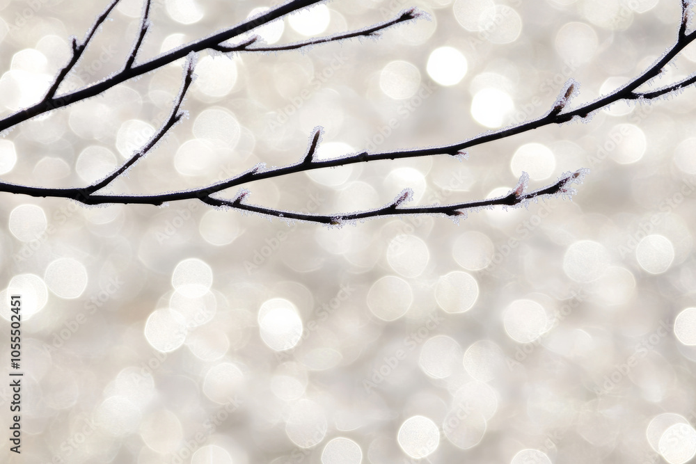 Poster a branch with frost on it is shown in a blurry background
