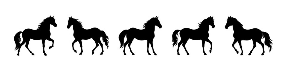 Vector big set of horses silhouettes isolated on wihite background