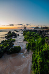 Mossy rocks on the shore of Narooma Beach, NSW, Australia.
