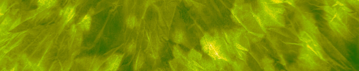 Beautiful Color Oil Paint. Green Hippie Tye Dye.