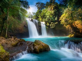 waterfall in the forest