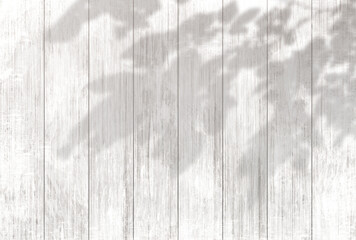 Fototapeta premium 背景イラスト_木漏れ日_木目_白