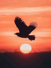 Fototapeta premium Bird in flight at sunset