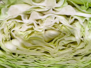 close up of cabbage