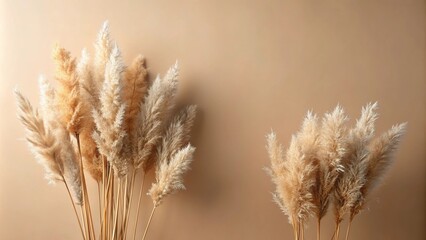 Obraz premium Dried pampas grass flower closeup on pastel brown background silhouette