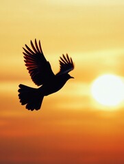 Bird in flight at sunset