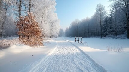 Fototapeta premium Snowy Path through a Misty Forest Landscape