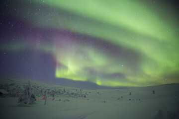 Northern lights in Pallas Yllastunturi National Park, Lapland, Finland
