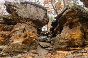 Mysterious Rock Formations in Ancient Forest