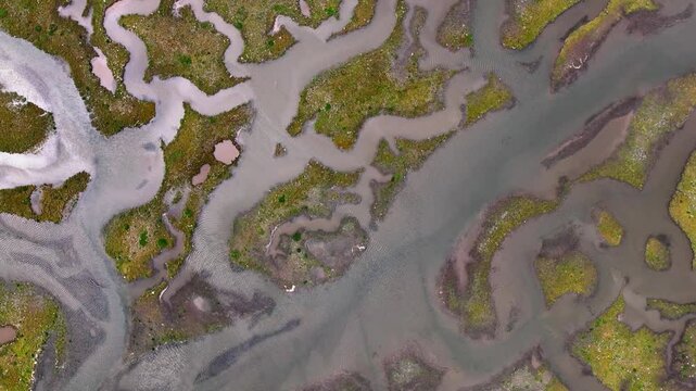 Aerial view of serene river tyne salt marsh with winding waterways and lush vegetation, Tynninghame, Scotland.