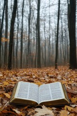 Open book on leaf-covered ground