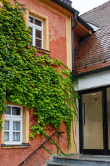 This charming facade with lush ivy features an elegant entrance that invites admiration