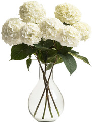 Various flowers in various vases for home decoration