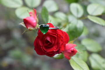a wedding ring with a diamond on a flower