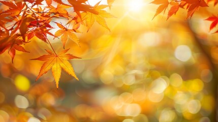 Bright autumn leaves with sunlight filtering through, creating a warm, golden, and vibrant atmosphere, perfectly capturing the essence of fall's beauty and tranquility.