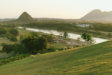 Fototapeta premium &nbsp;Sheep farm of Chiang Rai