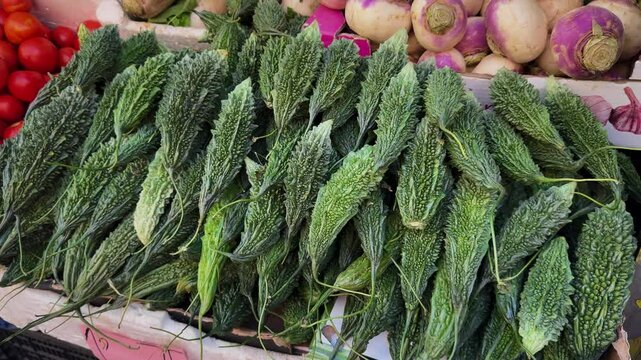 Green bitter melon Momordica charantia, Karela on food market close up.