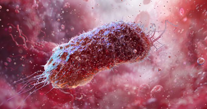 Microscopic view of Enterobacteriaceae bacteria family. Enterobacter, Citrobacter, Salmonella, E.coli, Klebsiella, Shigella bacilli pathogens. Antibiotic resistance, intestine microbiome infection, 3D