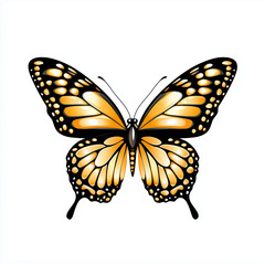 Obraz premium The striking orange butterfly captivates with its delicate wings, showcasing intricate patterns in natural beauty
