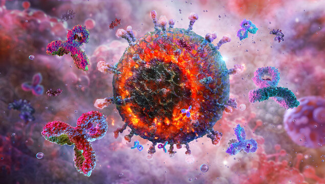 Antibodies causing viral envelope degradation. Immune response with antibodies attacking and destroying virus. 3D DNA proteins, specific antigens against virus, immunoglobulins IgM, IgG, IgE, IgD, IgA