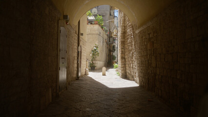 Obraz premium A narrow, sunlit alleyway with stone walls and arches in bari, italy, showcasing plants and residential buildings.
