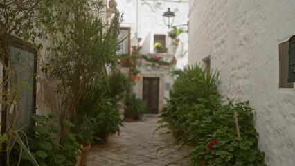 Fototapeta premium Charming, narrow, stone-paved alley adorned with lush greenery and potted plants between whitewashed buildings in a rustic italian village.
