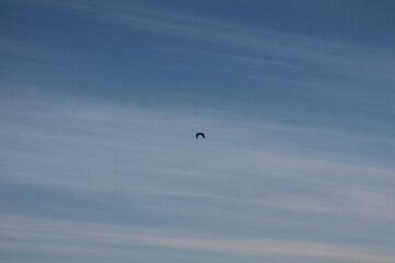 2024.02.11 Kristiansund og frei 