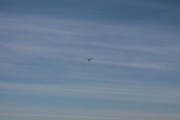 2024.02.11 Kristiansund og frei 