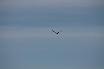 2024.02.11 Kristiansund og frei 