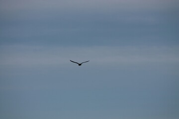 2024.02.11 Kristiansund og frei 